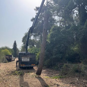 WhatsApp Image 2025-08-13 at 16.29.58 (1)