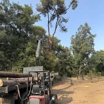 WhatsApp Image 2025-08-13 at 16.29.58 (2)