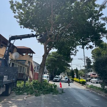 WhatsApp Image 2025-08-13 at 16.29.58 (4)