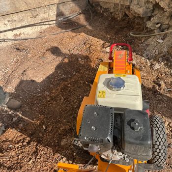 WhatsApp Image 2025-08-13 at 16.29.59 (1)