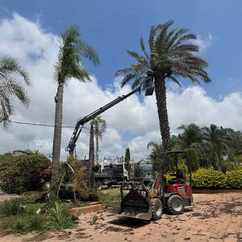 WhatsApp Image 2025-08-13 at 16.29.59 (3)