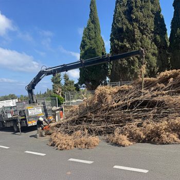 WhatsApp Image 2025-08-13 at 16.30.00 (1)