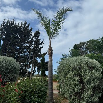 WhatsApp Image 2025-08-13 at 16.30.00 (2)