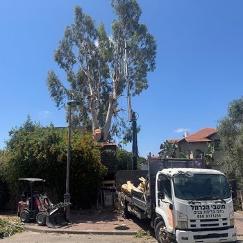 WhatsApp Image 2025-08-13 at 16.30.00