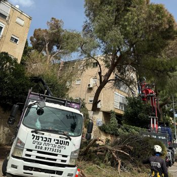 WhatsApp Image 2025-08-13 at 16.30.01