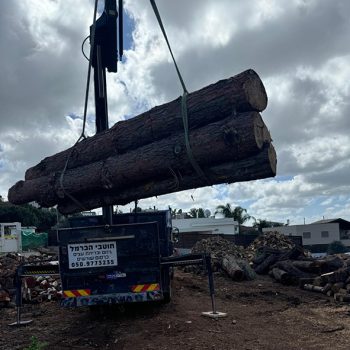 WhatsApp Image 2025-08-13 at 16.30.02 (2)