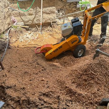 WhatsApp Image 2025-08-13 at 16.30.02