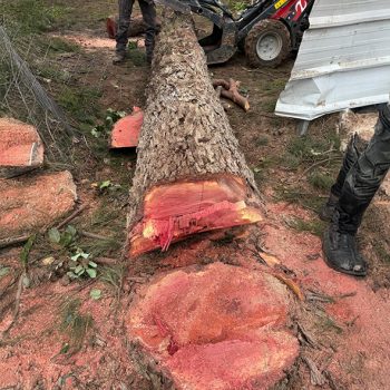 WhatsApp Image 2025-08-13 at 16.30.03