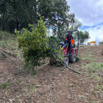 WhatsApp Image 2025-08-13 at 16.30.04 (1)