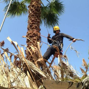 WhatsApp Image 2025-08-13 at 16.30.04 (2)