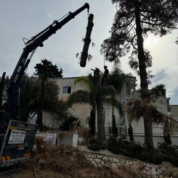 WhatsApp Image 2025-08-13 at 16.30.04