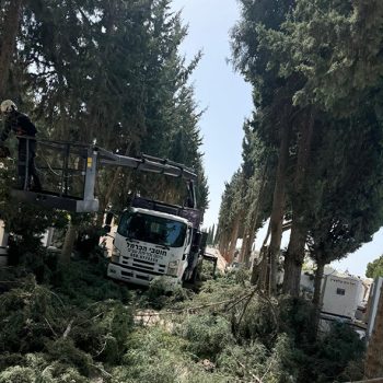 WhatsApp Image 2025-08-13 at 16.30.05 (1)