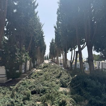 WhatsApp Image 2025-08-13 at 16.30.05