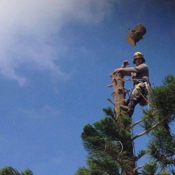 WhatsApp Image 2025-08-13 at 16.30.06 (1)