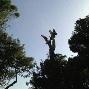 WhatsApp Image 2025-08-13 at 16.30.06