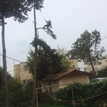 WhatsApp Image 2025-08-13 at 16.30.07 (2)