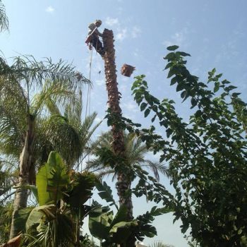 WhatsApp Image 2025-08-13 at 16.30.07