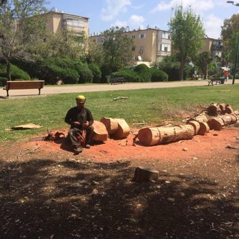 WhatsApp Image 2025-08-13 at 16.30.09