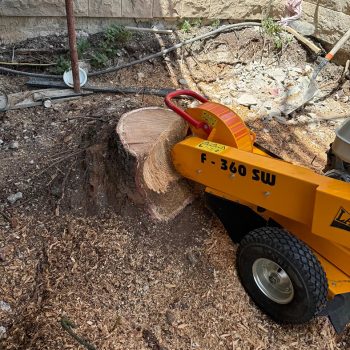 WhatsApp Image 2025-09-01 at 09.49.17