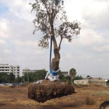 WhatsApp Image 2025-09-05 at 16.53.15